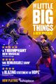The Little Big Things