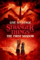 Stranger Things: The First Shadow